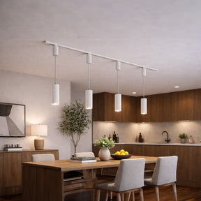 VBD-GD22D10A-3CCT-W Pendant LED Track Light Head H-Type