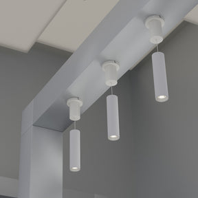 VBD-TD22D10C-3CCT-W Pendant LED Light