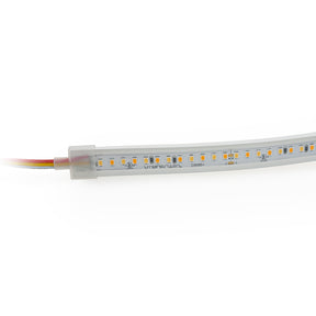 VBDFS-2835-CW&WW-168-24-WP Hybrid Adjustable Color Temperature LED Strip, 15W/m(5W/ft)