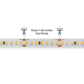 VBDFS-E2835-xxxx-168-24-NS-10 LED strip for neon channel, 24V 4.2(w/ft) CCT(2.7K, 3K, 3.5K, 4K, 5K)
